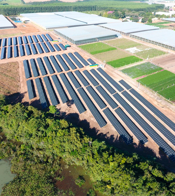 about-greenforet-img